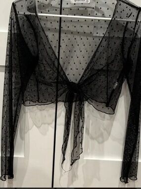Elegant Black Sheer Tie-Front Blouse